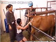 Explicit sex scenes with kind farm animals